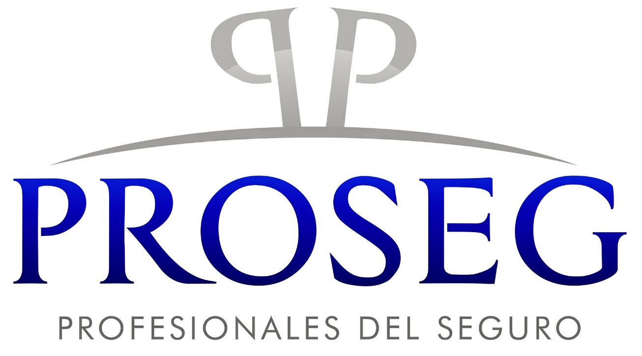 Ir a la página principal de proseg-2011-s.-l.